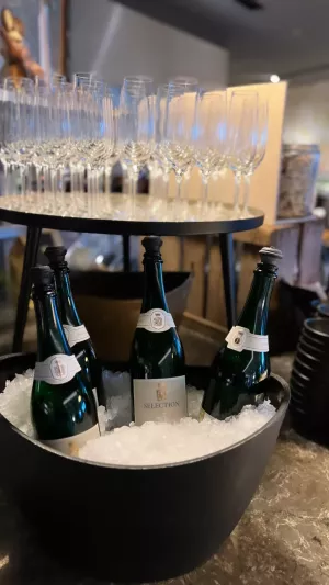 Bubbels